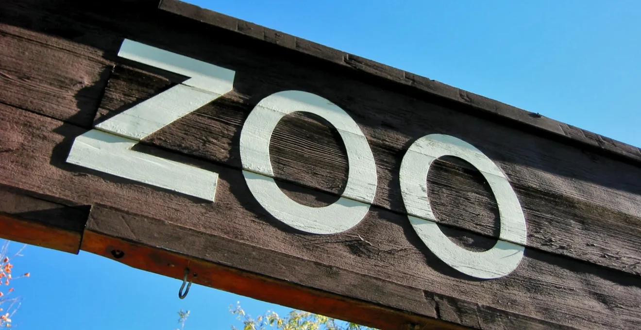 zoo à Lyon.png