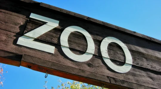 zoo à Lyon.png